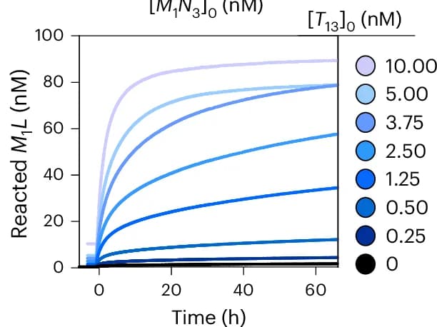 Open access visualization of Line Plot, Turnover, Fluorescence, Template Concentration