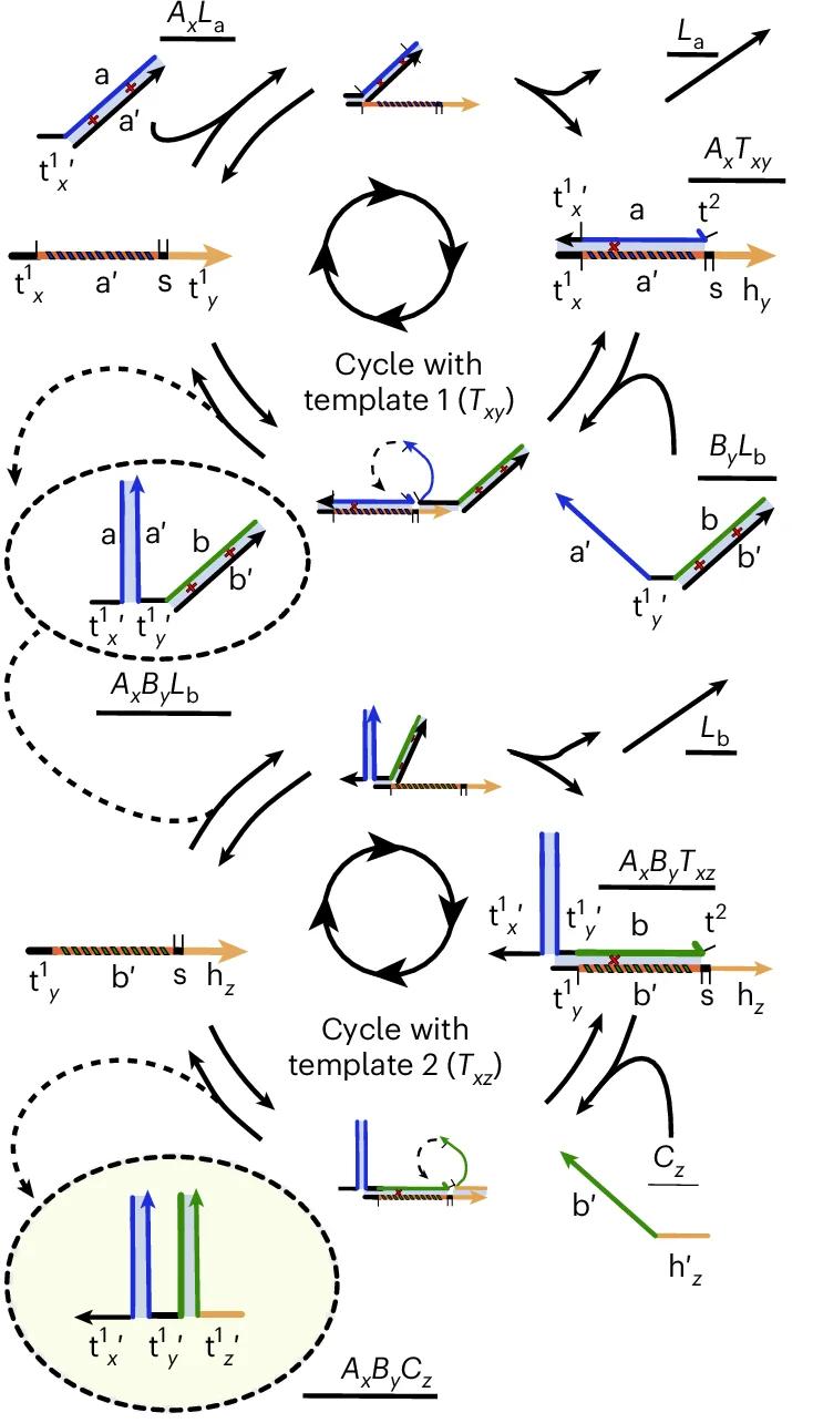 Open access visualization of Workflow, Flowchart, Illustration, Trimerization, Dimerization