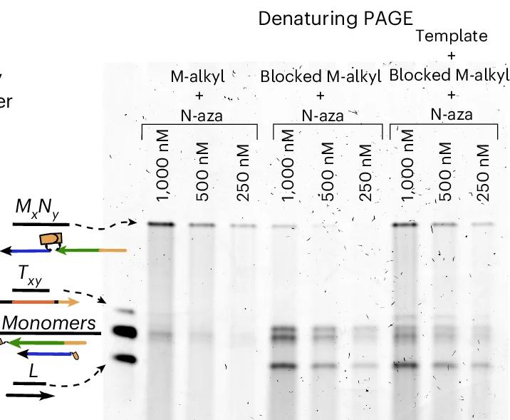 Open access visualization of Gel, Illustration, Denaturing PAGE, HMSD, Covalent Bonds