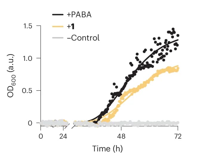 Open access visualization of Line Plot, Scatter Plot, Auxotroph Rescue Growth Curves, E. Coli, PABA