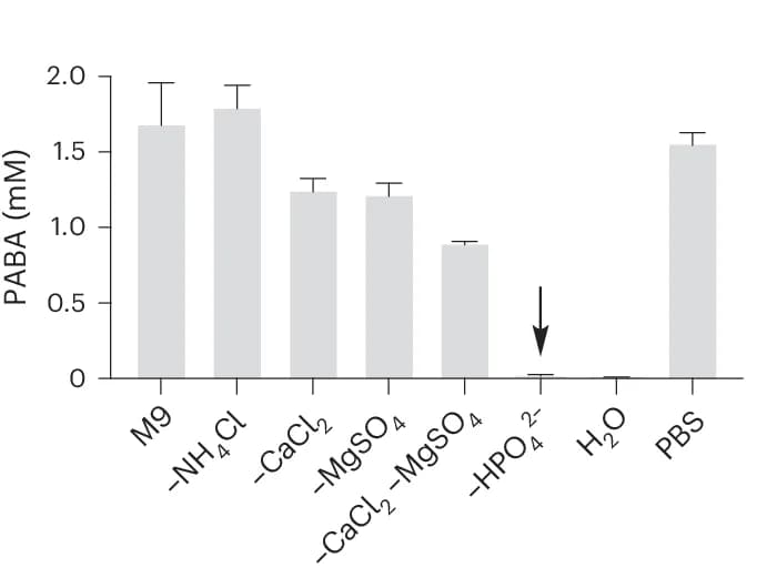 Open access visualization of Bar Plot, Error Bars, In Vitro Experiment, M9 Media Components, Lossen Rearrangement