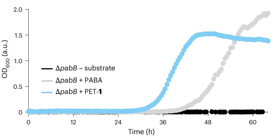 Open access visualization of Line Plot, Growth Curves, 96-Well Plate, Auxotroph Rescue