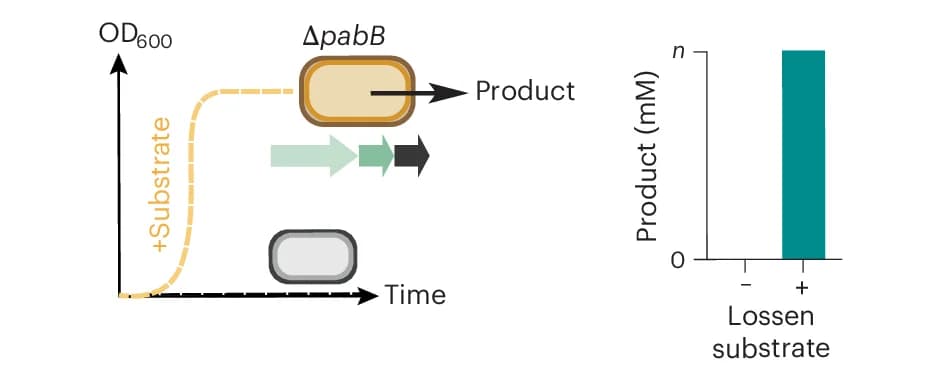 Open access visualization of Bar Plot, Line Plot, Workflow, Lossen Rearrangement, Biosynthetic Pathways
