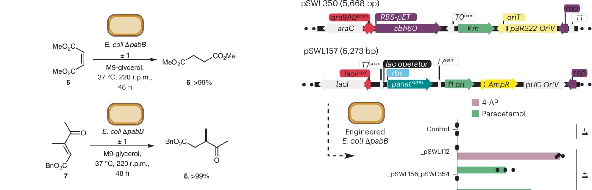 Open access visualization of Workflow, Bar Plot, Error Bars, Biotransformation, Dimethylsuccinate