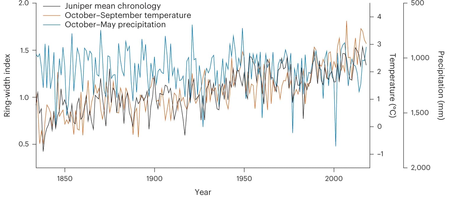 Open access visualization of Line Plot, Temperature, Precipitation, Juniper Ring-Width Indices, Time Series