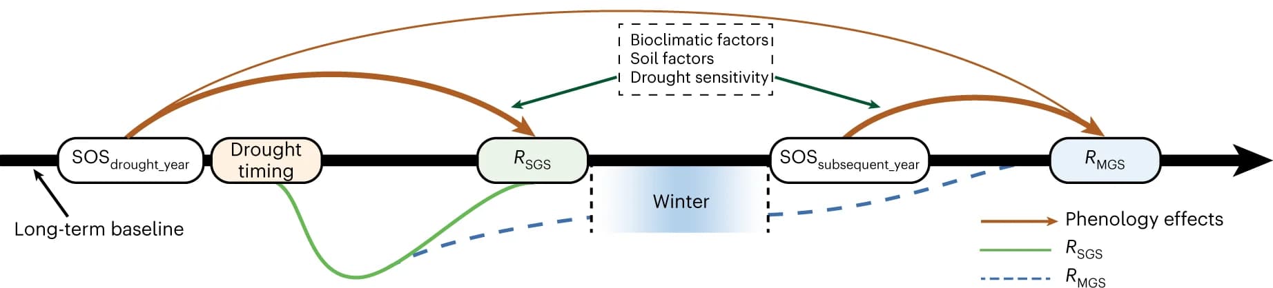 Open access visualization of Workflow, Flowchart, Vegetation Phenology, Drought Recovery, Biophysical Effects