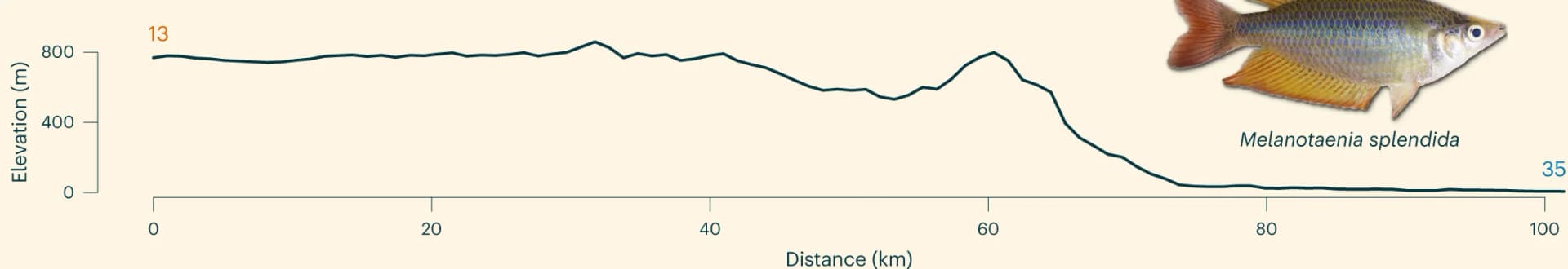 Open access visualization of Line Plot, Photo, Topographic Relief Profile, Elevation, Upland Habitat