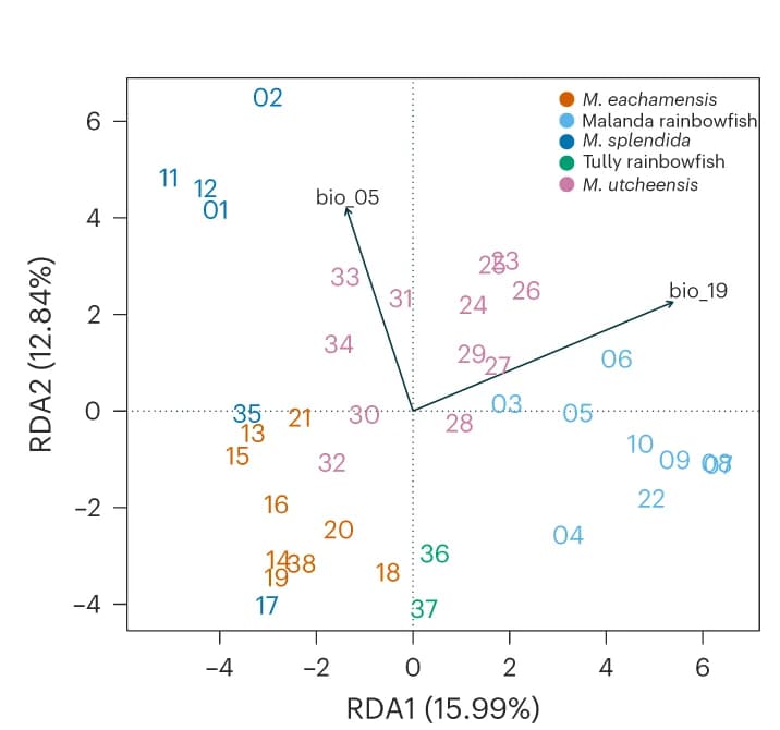 Open access visualization of Scatter Plot, Redundancy Analysis, Biplot
