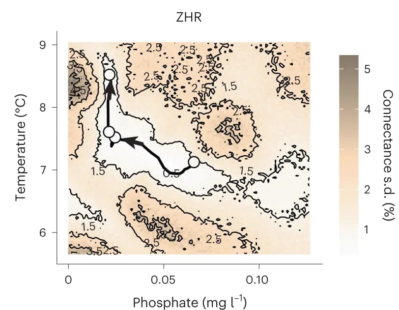 Open access visualization of Heatmap, Line Plot, Standard Deviation, Predicted Connectance, Model Predictions