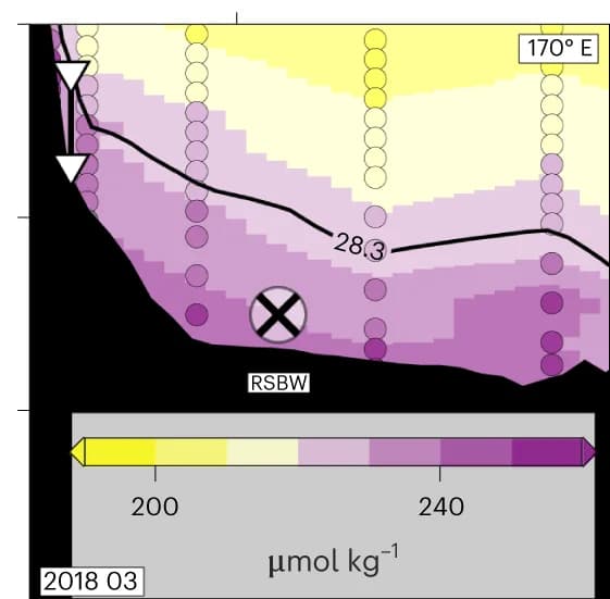 Open access visualization of Heatmap, Line Plot, Scatter Plot, Oxygen, Water Masses
