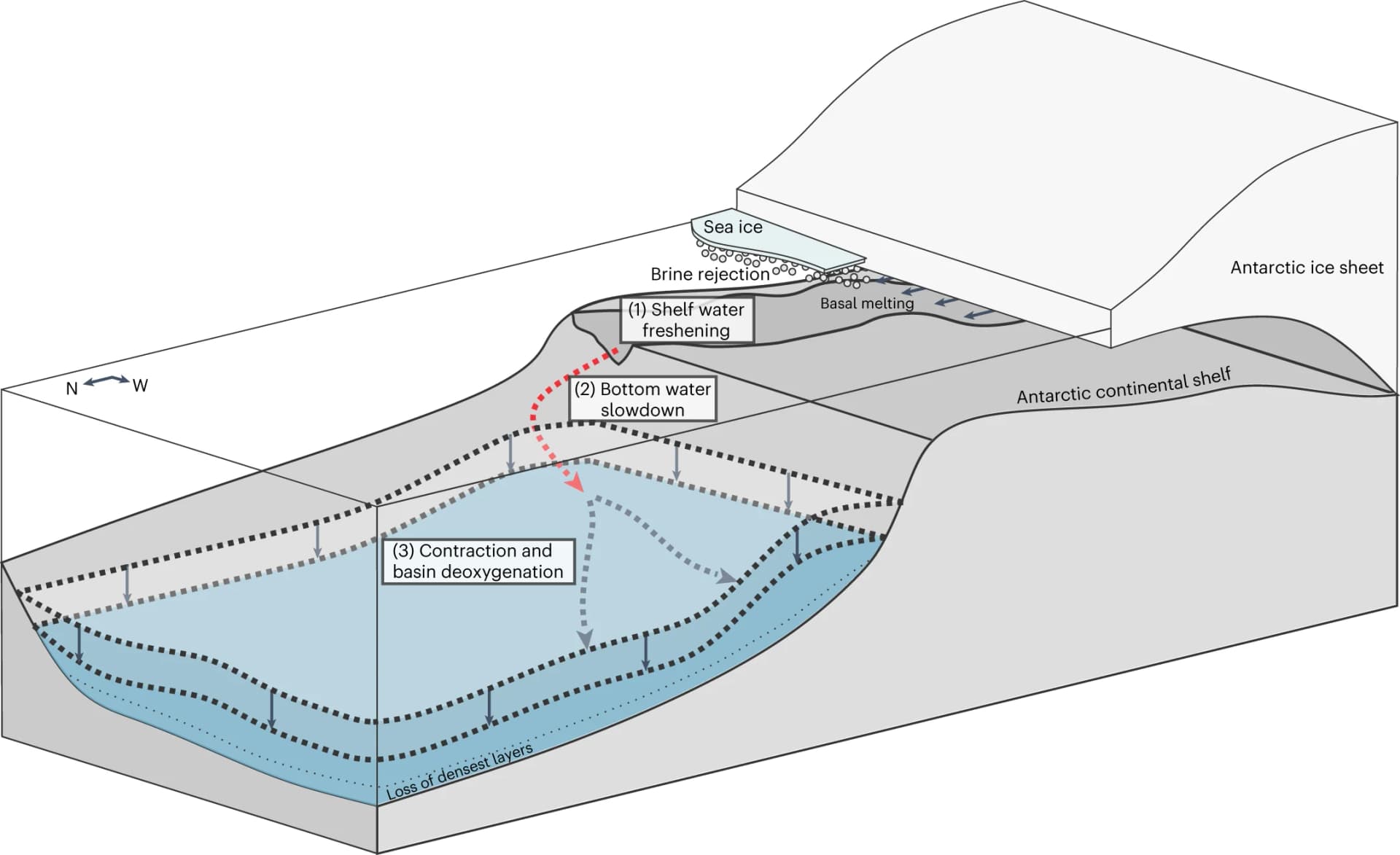 Open access visualization of Illustration, Workflow, Shelf Waters, Glacial Melt, Dense Water