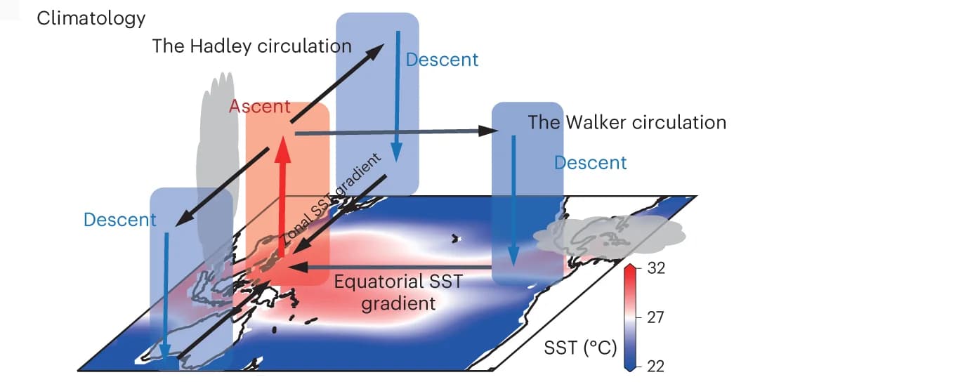 Open access visualization of Geo Map, Hadley Circulation, Walker Circulation, Sea Surface Temperature, Climatology