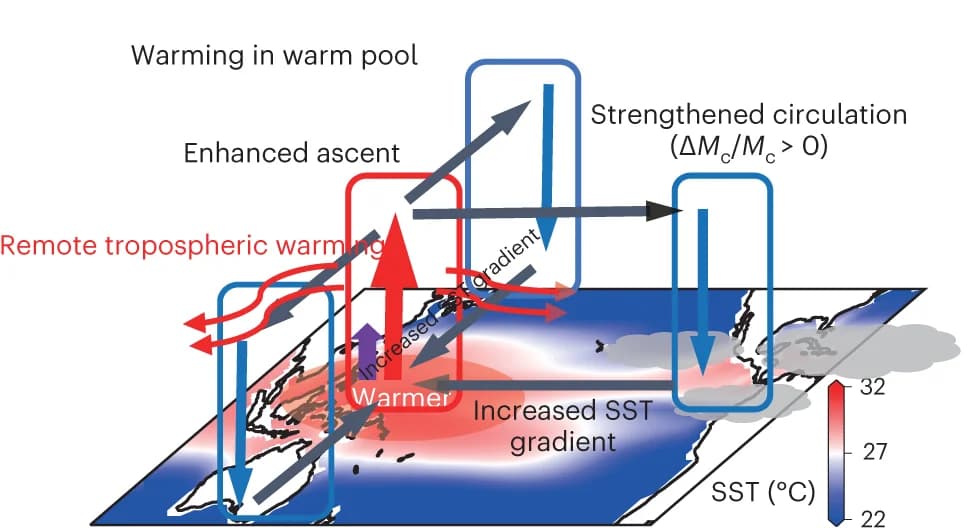 Open access visualization of Illustration, Sea Surface Temperature, Warm Pool, Convection, Hadley Circulation