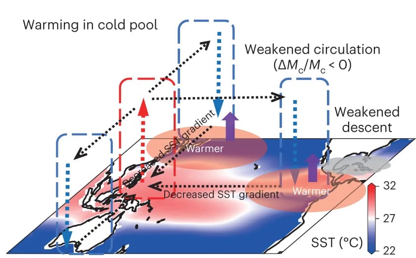 Open access visualization of Geo Map, Hadley Circulation, Walker Circulation, Sea Surface Temperature, Convection