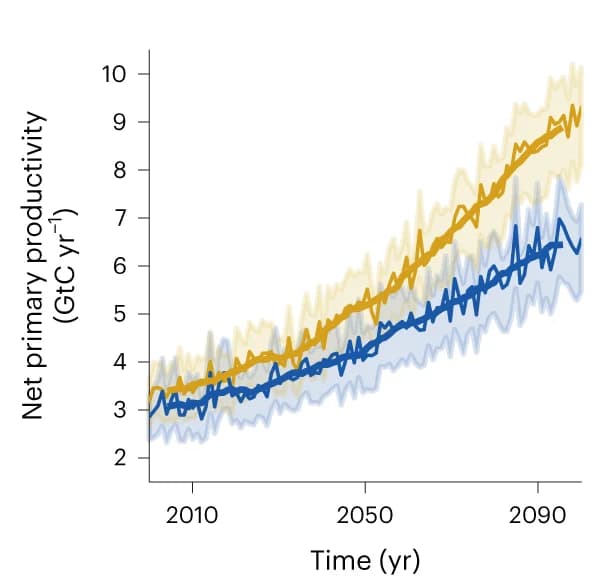 Open access visualization of Line Plot, Error Bars, Net Primary Productivity