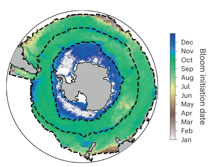 Open access visualization of Geo Map, Bloom Initiation, Phenological Indices, Southern Ocean Biomes, STSS