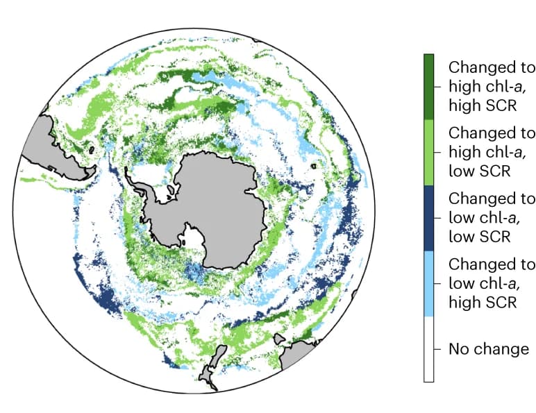 Open access visualization of Geo Map, Schematics, Regional Classifications, Southern Ocean