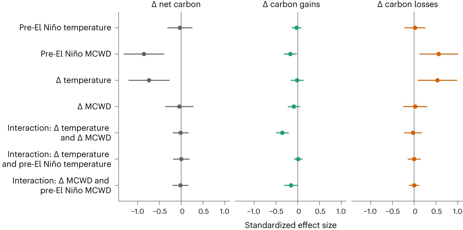 Open access visualization of Forest Plot, Error Bars, Linear Models, Carbon, Carbon Gains