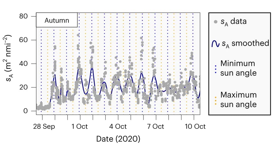 Open access visualization of Line Plot, Scatter Plot, Nautical Area Scattering Coefficient, SBM, Autumn