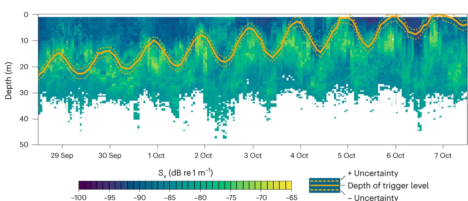 Open access visualization of Heatmap, Line Plot, Error Bars, Echogram, Mean Volume Backscattering Strength