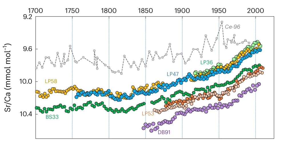 Open access visualization of Line Plot, Scatter Plot, Sr/Ca Ratios, Aragonite Skeletons, Sclerosponge