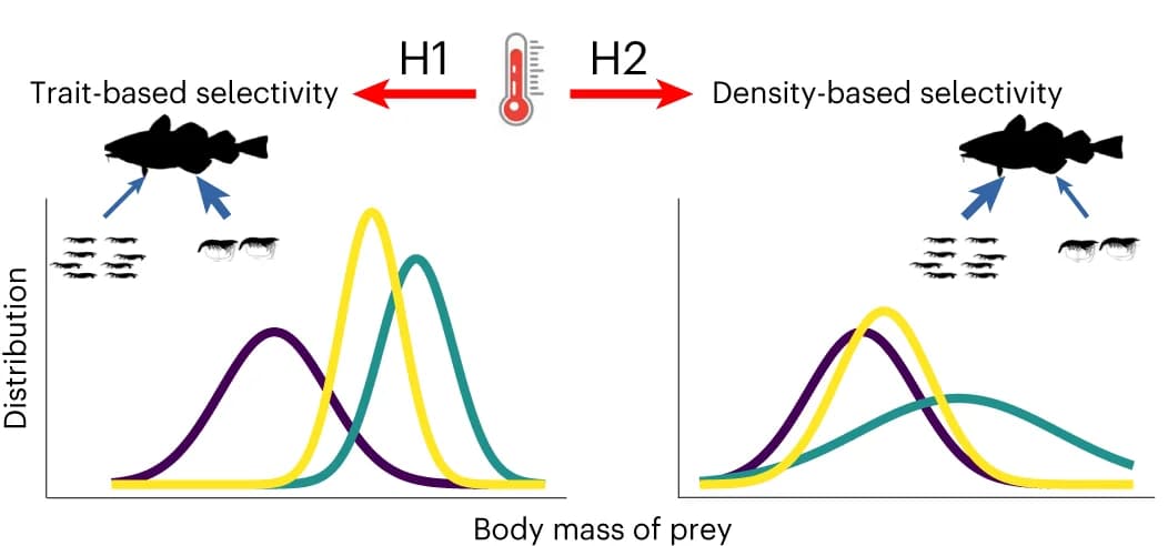 Open access visualization of Line Plot, Density Plot, Illustration, Temperature Increase, Trait-Based Selectivity