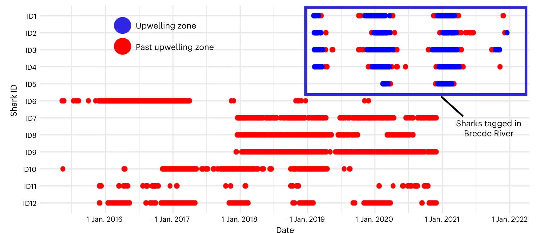 Open access visualization of Scatter Plot, Timeline, Acoustic Detections, Bull Sharks, Breede River