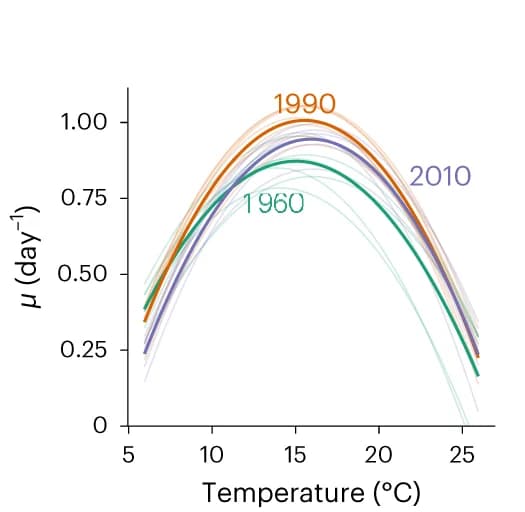 Open access visualization of Line Plot, Thermal Performance Curves, Strains, Growth Rate, Quadratic Model