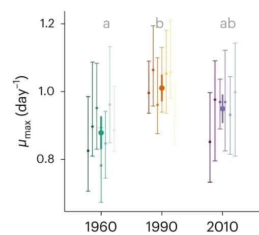Open access visualization of Scatter Plot, Error Bars, Growth Rate, Strains, Bootstrapping