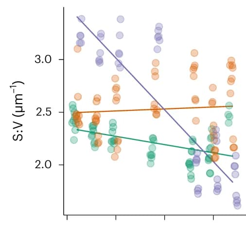 Open access visualization of Scatter Plot, Regression Plot, Surface to Volume Ratio, Strains, Cells
