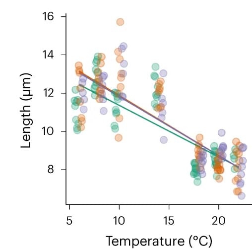 Open access visualization of Scatter Plot, Regression Plot, Length, Strains, Cells