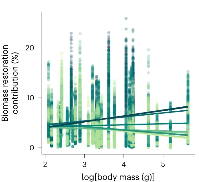 Open access visualization of Scatter Plot, Regression Plot, Bird Species, Body Masses, Forest Cover