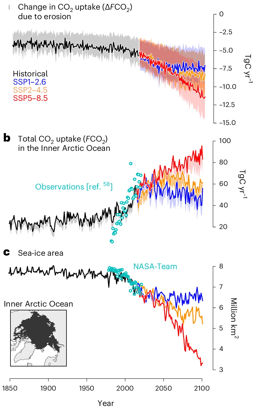 Open access visualization of Line Plot, Scatter Plot, Geo Map, Arctic Ocean, CO2 Uptake