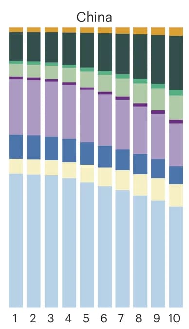 Open access visualization of Stacked Bar Plot, China, Expenditure Levels, Regional Expenditure Deciles, Food Categories