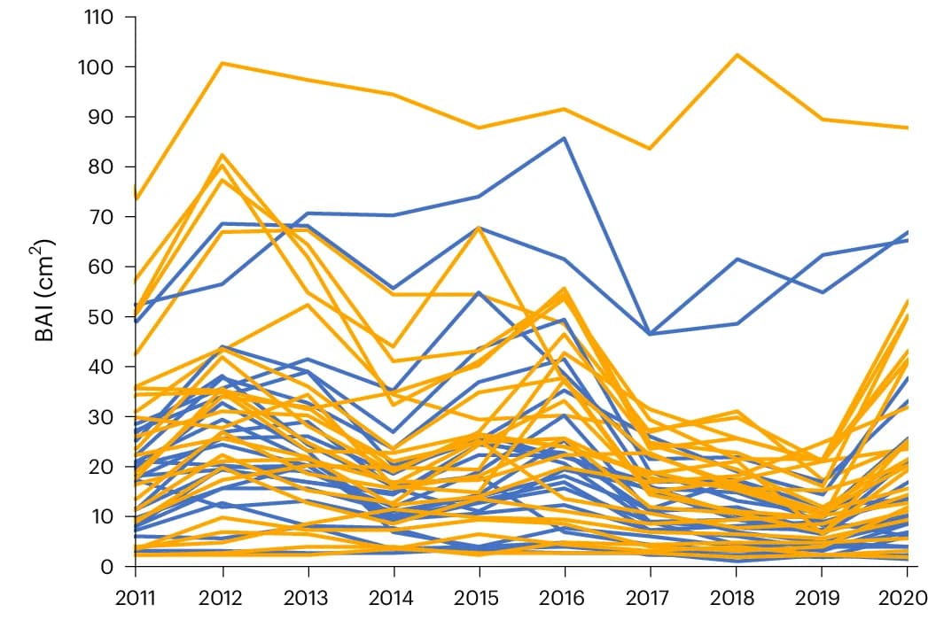 Open access visualization of Line Plot, Annual BAI, Trees, CO2, Ambient CO2
