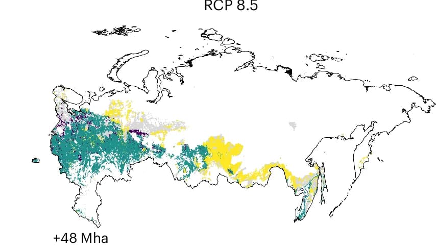 Open access visualization of Geo Map, Russia, RCP 8.5, Productive Land, Forestry Land