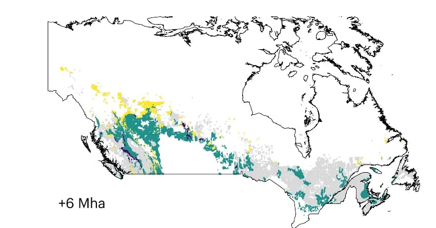Open access visualization of Geo Map, Canada, RCP 8.5, Productive Land, Forestry Land