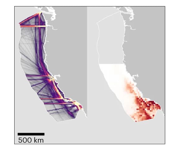 Open access visualization of Geo Map, Heatmap, Shipping Traffic Density, Habitat Suitability, GAMs