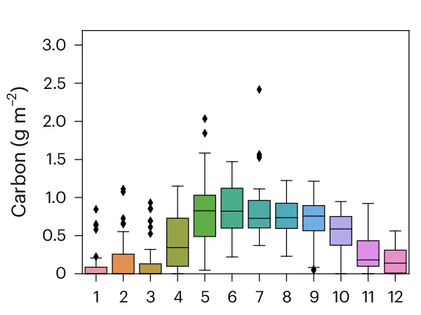Open access visualization of Box Plot, Subsurface Phytoplankton Carbon, Integrated Concentrations, Boxplots, Monthly Data