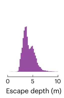 Open access visualization of Histogram, Density Plot, Vertical Escape Depth, Stratified Lakes