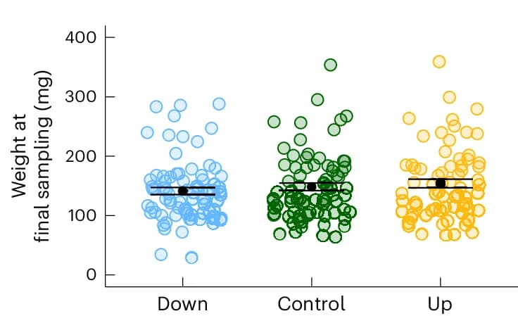 Open access visualization of Scatter Plot, Error Bars, Final Weight, Individuals