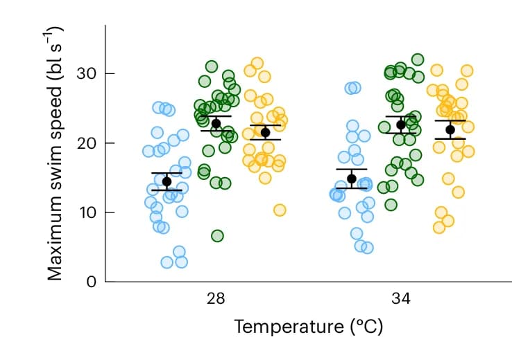 Open access visualization of Scatter Plot, Error Bars, Maximum Swim Speed, Individuals, Temperature