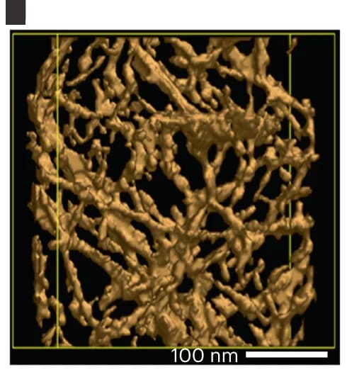 Open access visualization of 3D Plot, TEM Visualization, SiCellA