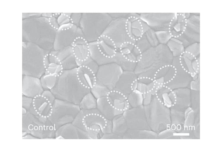 Open access visualization of Microscopy, Perovskite Thin Films, SEM Images