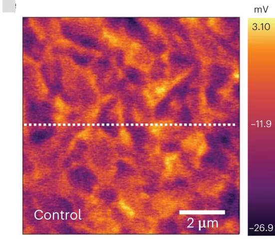 Open access visualization of Heatmap, Perovskite Films, ITO Substrate, CPD Analysis