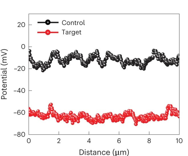 Open access visualization of Line Plot, Perovskite Films, CPD variations, KPFM Images