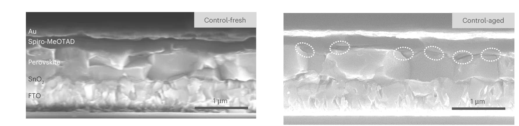 Open access visualization of Microscopy, SEM images, PSC devices, Control device, Voids