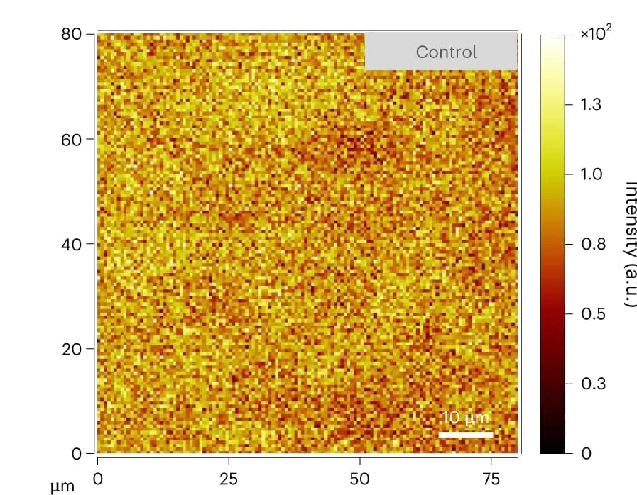 Open access visualization of Heatmap, TOF-SIMS, Ions, HTL, Control device