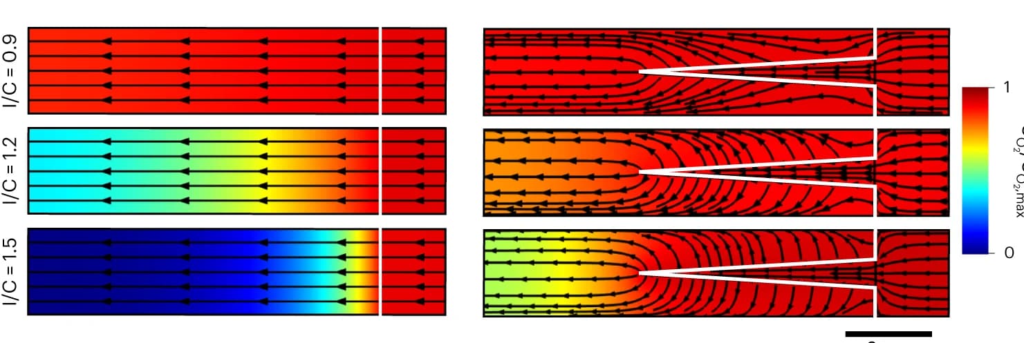 Open access visualization of Heatmap, Line Plot, Multiphysics Modeling, Electrodes, Contour Plots