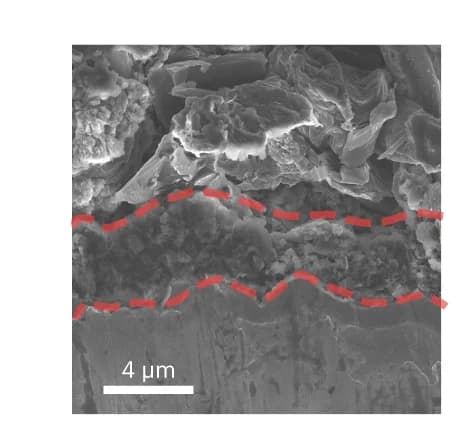 Open access visualization of Microscopy, SEM image, PreSi/C anodes